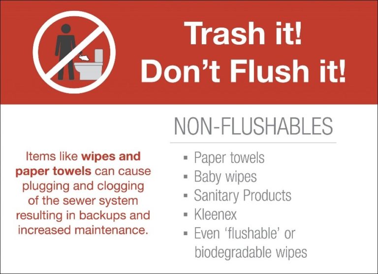 Trash It Don't Flush It